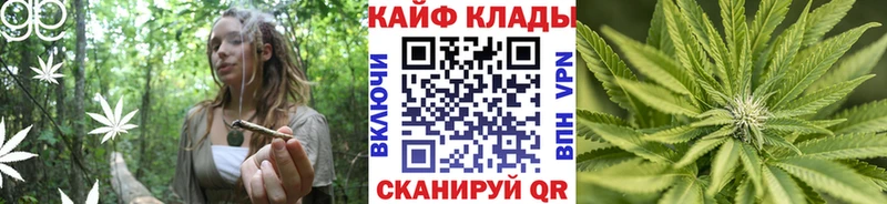 Где купить наркоту Бердск APVP  Кокаин  ГАШИШ  Марихуана 