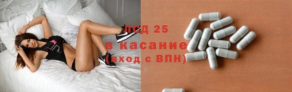 ГАЛЛЮЦИНОГЕННЫЕ ГРИБЫ Майский