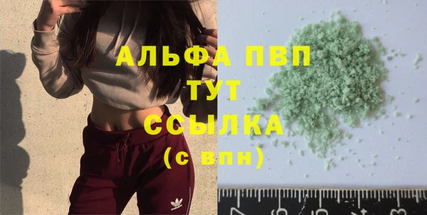 твердый Магас