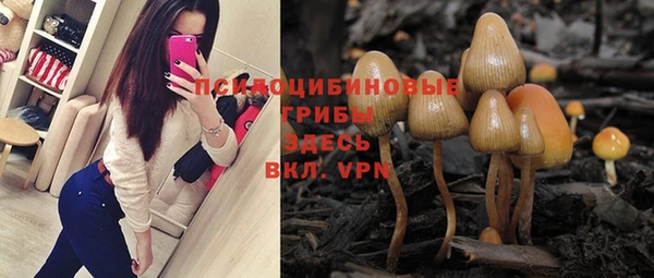 ГАЛЛЮЦИНОГЕННЫЕ ГРИБЫ Майский