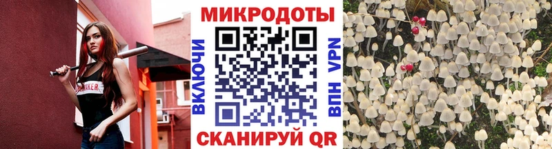 Галлюциногенные грибы Magic Shrooms  даркнет сайт  Бердск 