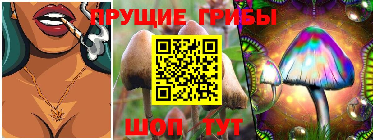 Псилоцибиновые грибы Psilocybine cubensis  купить  цена  Бердск 