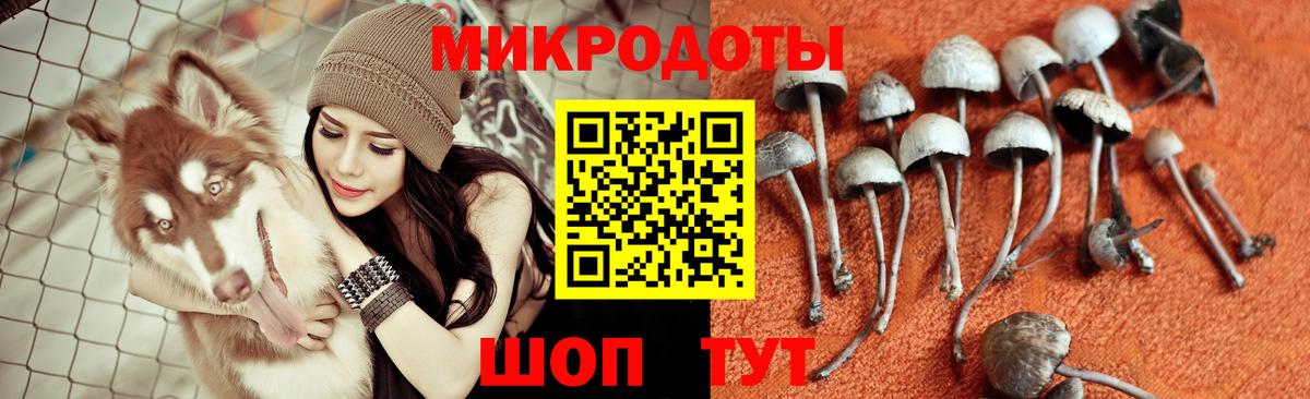 что такое   Галлюциногенные грибы Psilocybine cubensis  Бердск  Вход с VPN  Галлюциногенные грибы Magic Shrooms 